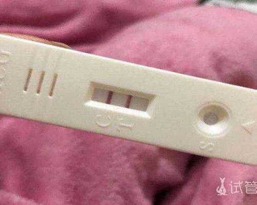 国内代怀电话多少,取卵前一天同房卵泡会破裂吗