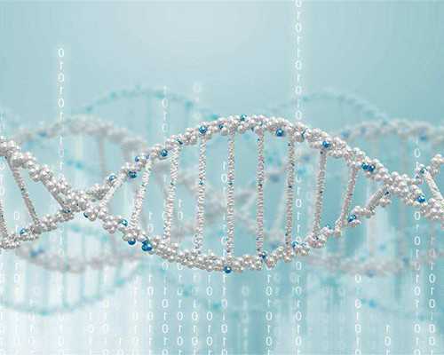 国内供卵机构哪里找,宝宝吃蛋黄的最佳时间建议6个月后可以尝试