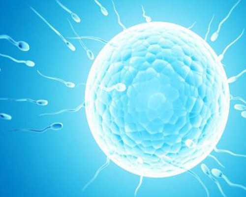 国内代生宝宝电话,泰国做试管婴儿费用要多少！附医院排名更新！