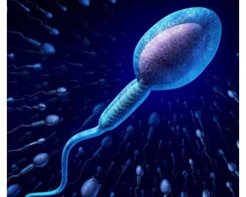 茂名三代试管婴儿的全部流程？茂名人民医院试管婴儿成功率高吗？,助孕选性别