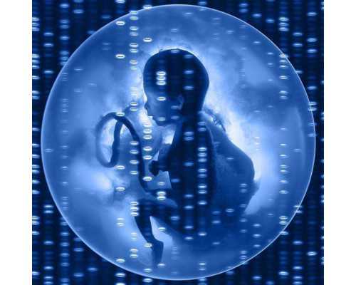 国内供卵辅助生殖中心有哪些,郴州*试管婴儿医院排名试管助孕机构成功率前五参考