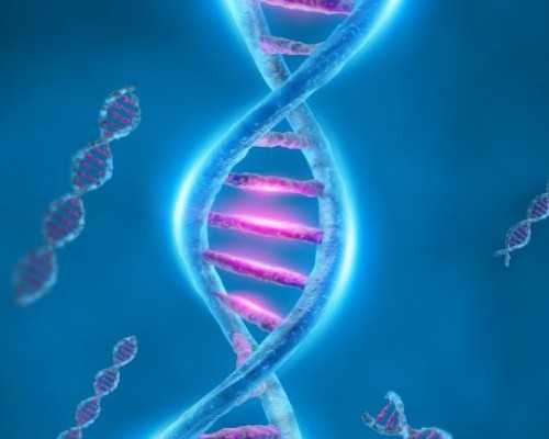 工作环境影响生育吗,三代代怀公司