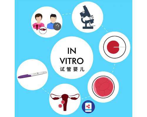 国内供卵机构公司,齐齐哈尔市第一医院做三代借卵试管选生龙凤胎需要多少钱？