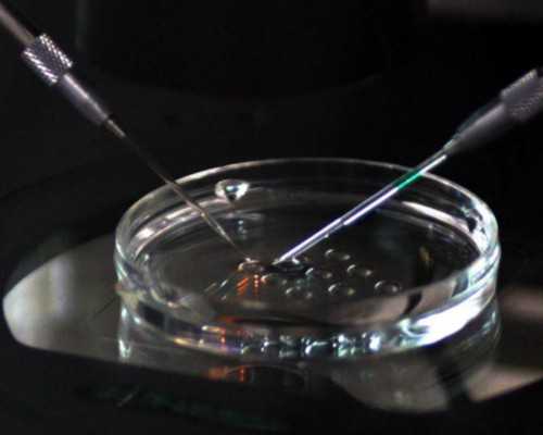 国内正规供卵机构有几家,孕育医院试管哪家强