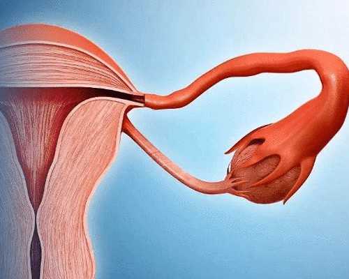 陕西省妇幼保健院试管婴儿成功率高吗?,试管代怀子