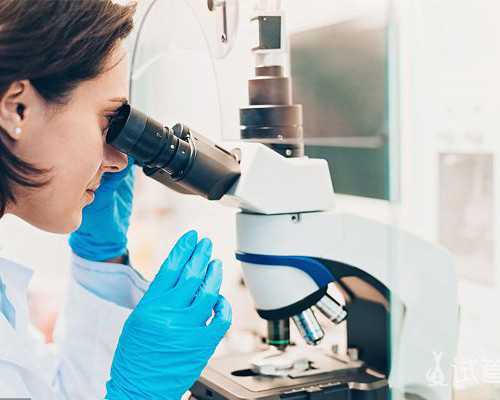 国内供卵生子案例,做3代试管***需要多少钱总费用不超过过30万