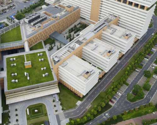 同性男男代怀，两天hcg没翻倍正常吗