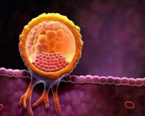 衡阳试管医院排行榜,代生子性别