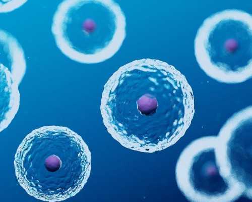 国内最好的供卵机构是哪家,试管婴儿移植12天hcg多少正常？你知道吗