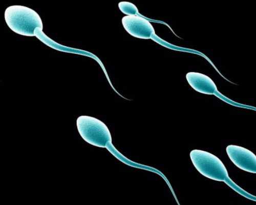 国内正规供卵医院在哪里,台湾祈新生殖供卵试管,台湾试管婴儿成功率