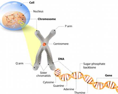 国内的供卵私立医院,2026年国内试管婴儿排名最好的私立医院有哪些？