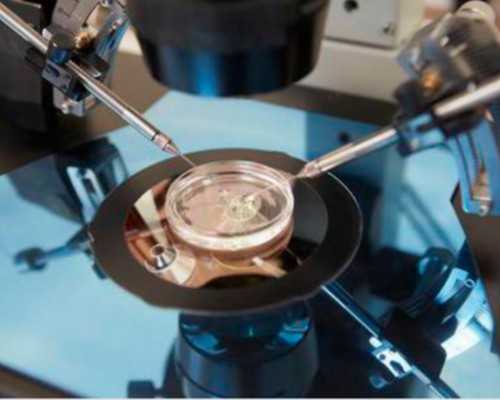 国内试管代生,4cb可不是最差的囊胚，质量级别和移植成功率看这里！