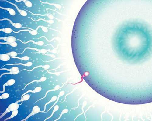 国内正规供卵公司,深圳私立辅助生殖机构做三代试管包生男孩价格是多少?这篇就够了