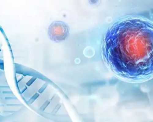 国内在哪里做供卵比较好一点,试管婴儿移植前,该怎么调理*内膜？