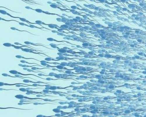 中国供卵医院排行第一名,南京鼓楼医院做借卵试管婴儿养囊然后移植囊胚需要多少钱?