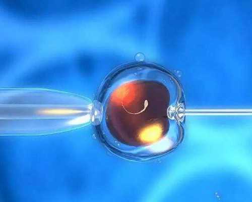 国内供卵试管的过程,2026武汉做试管包成功大概需要多少费用？1分钟get所有花销！