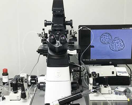 国内哪里有靠谱代生,单身男能做试管婴儿吗,单身男性可以做试管婴儿吗