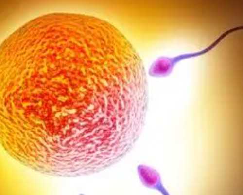 国内代孕最好的中心,人工授精三天后有血,人工授精后三天内注意