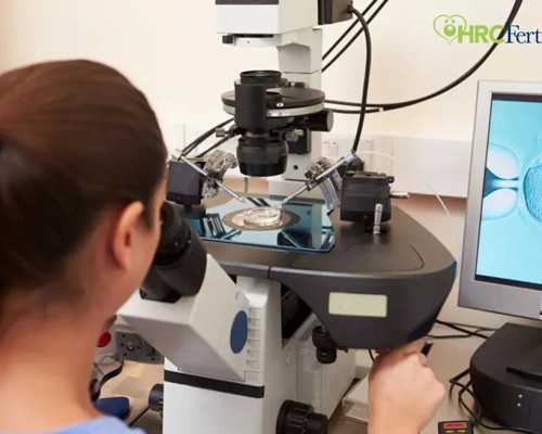 全国供卵中心排名,试管多次着床不*(医*建议做的免疫检查是什么)